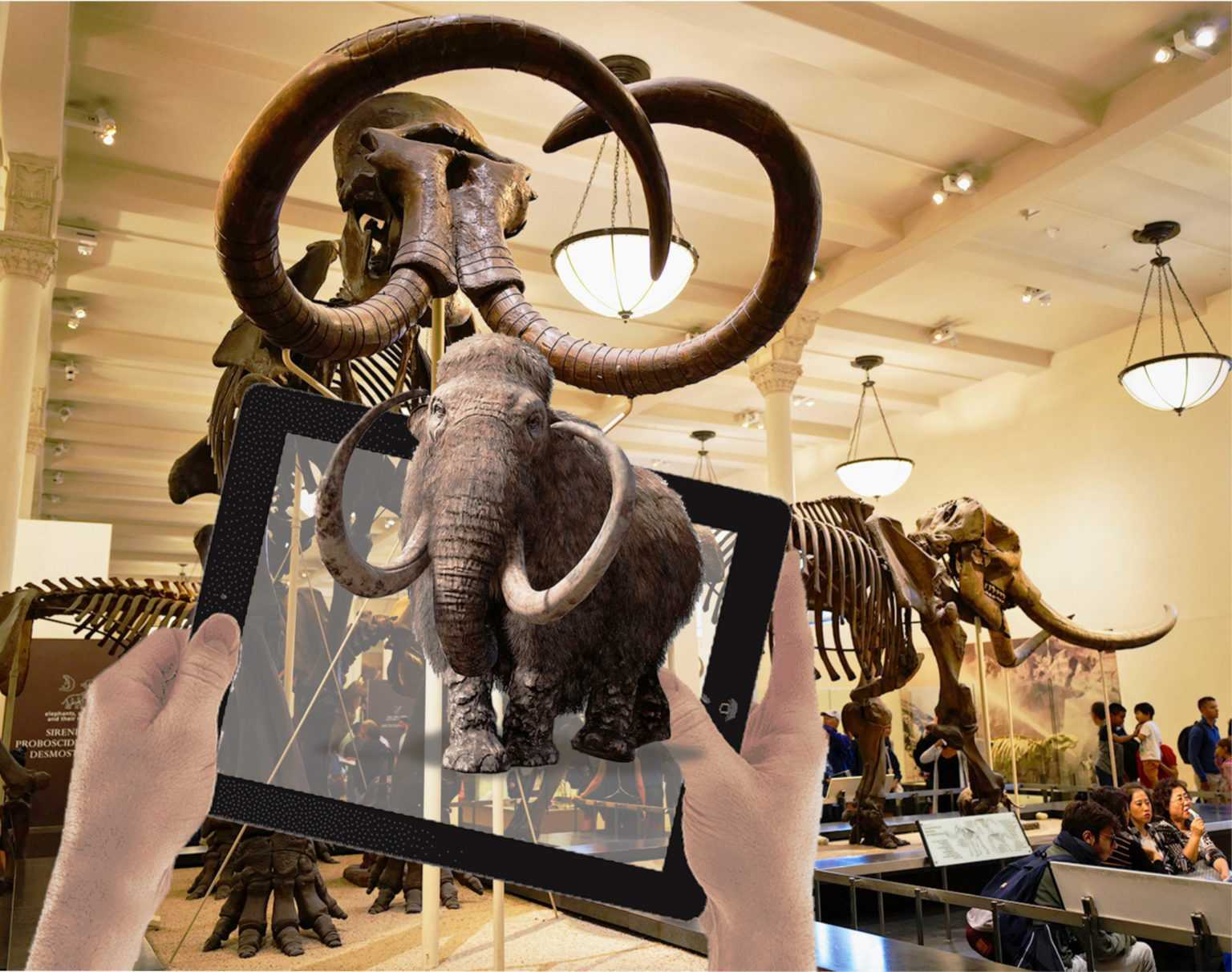 Google 3d животные и объекты дополненной реальности: полный список и галерея