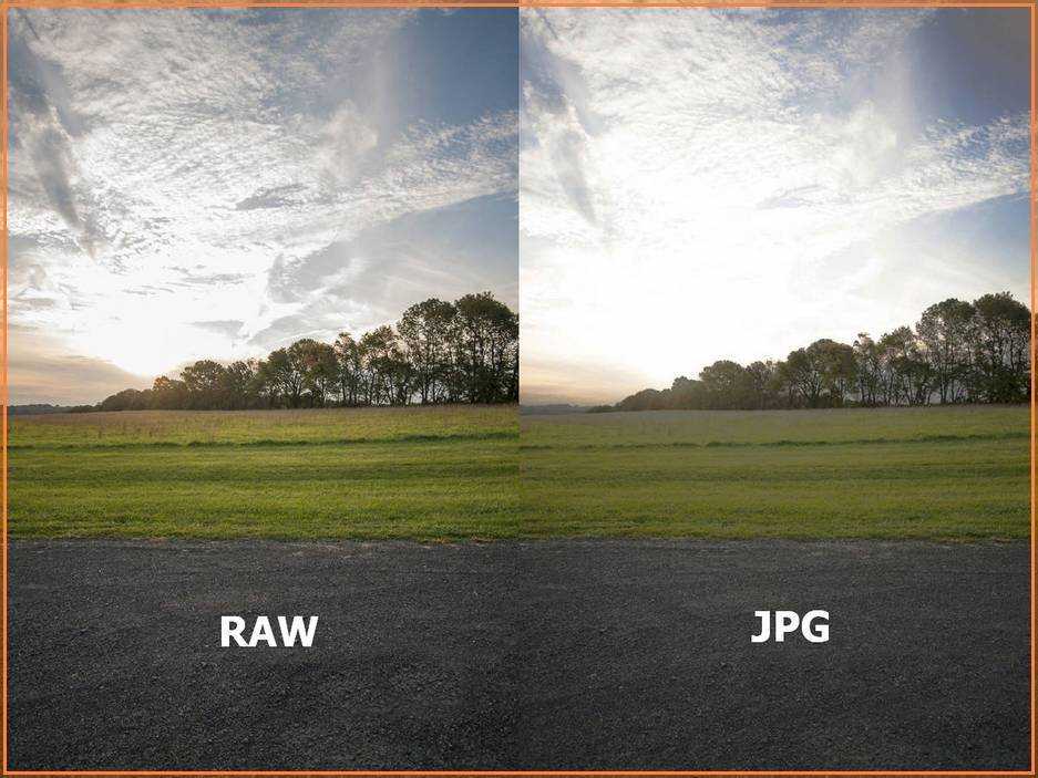 Raw против jpeg - какой формат лучше и почему