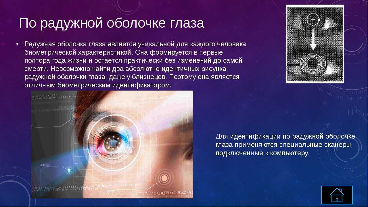 Биометрия что это. Биометрические системы защиты по сетчатке глаза. Биометрия радужной оболочки глаза. Идентификация по радужной оболочке. Метод идентификации по радужной оболочке глаза.