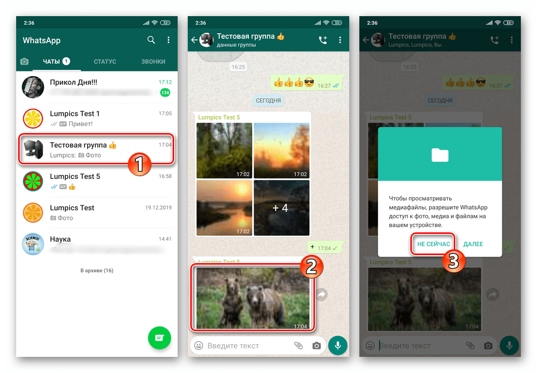 Как отключить сохранение фото в whatsapp: в телефон и в галерею