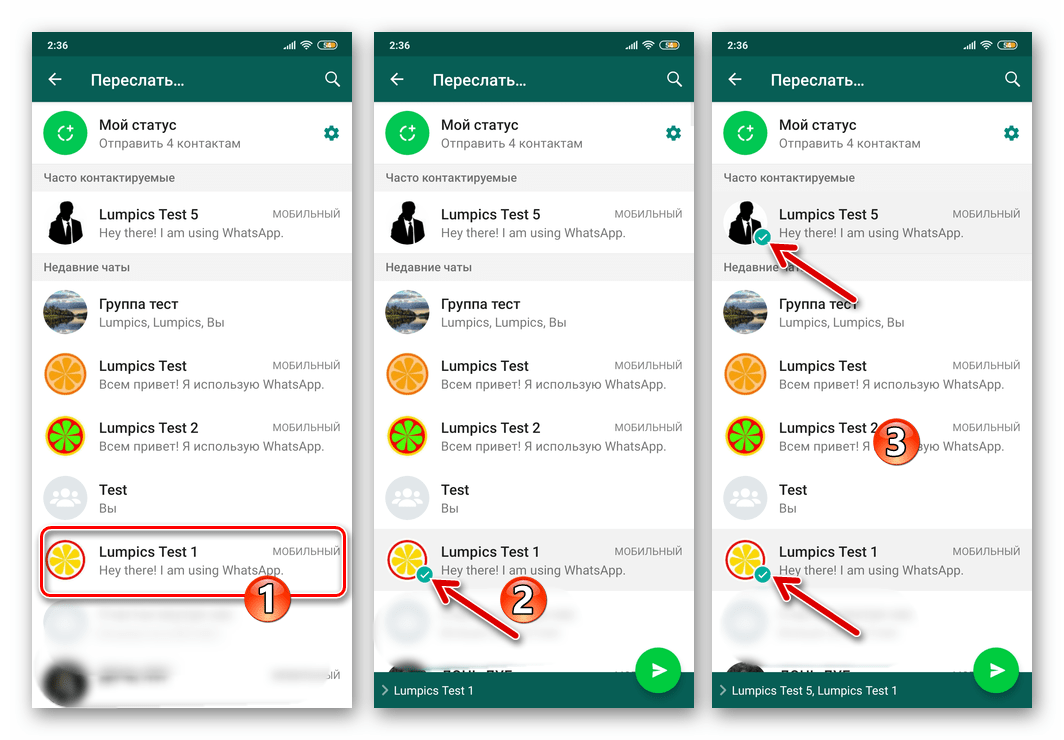 Телеграм против whatsapp: какой мессенджер выбрать в 2021 - t9gram.me