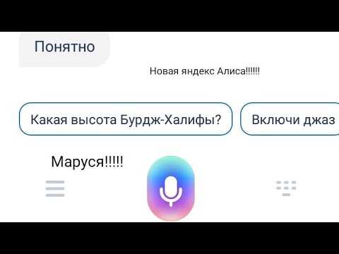 Яндекс браузер с алисой: как установить, делать голосовые запросы, почему не работает
