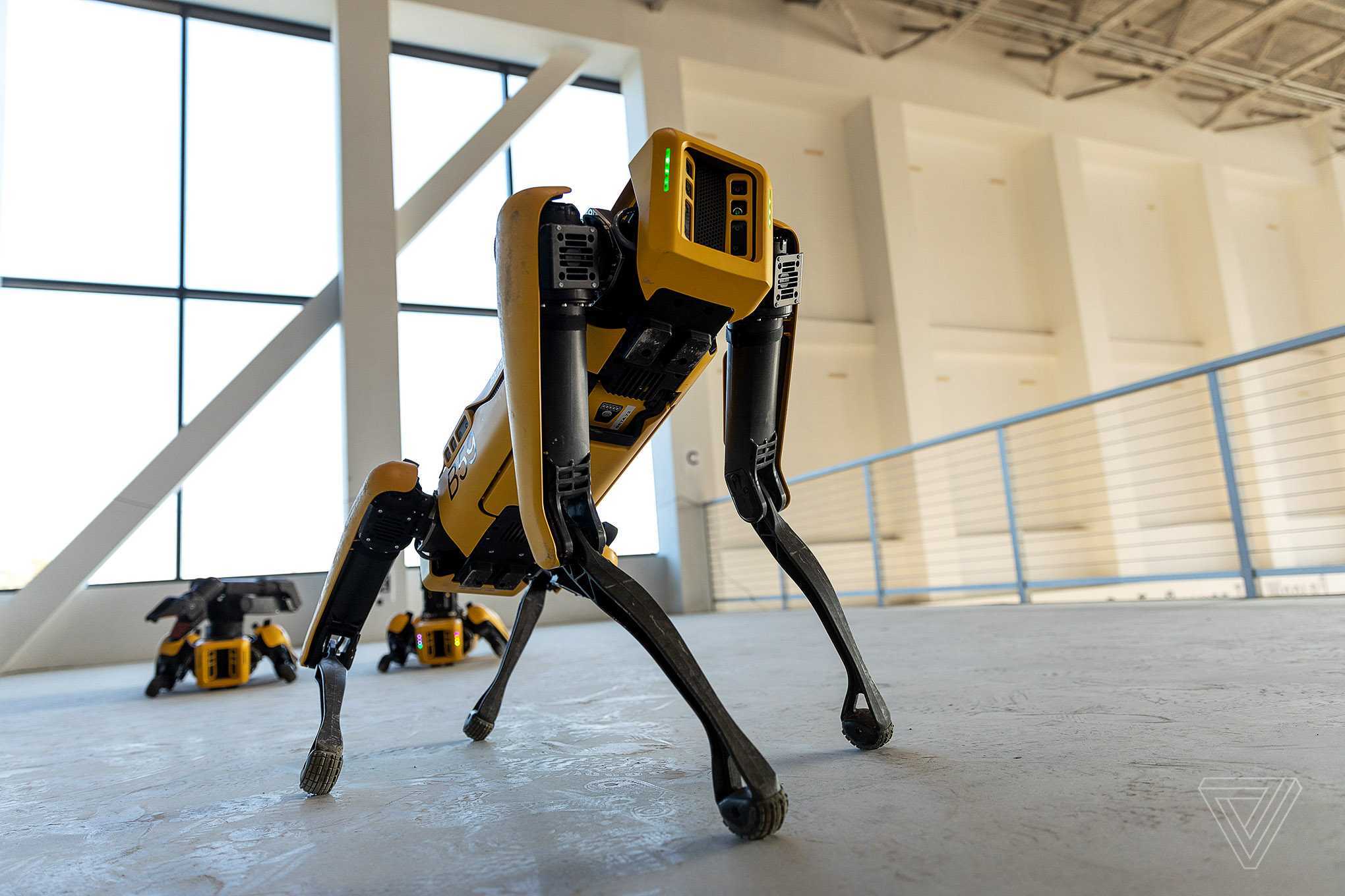 Можно робота нового. Робот Бостон Динамикс. Робот собака Бостон Динамикс. Бостон Дайнемикс робот спот. Собака Бостон Динамикс.