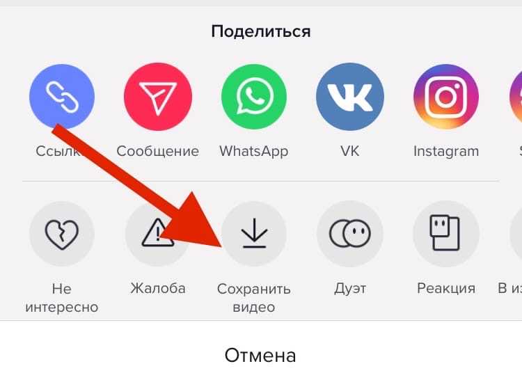 Как отправить длинное видео в whatsapp: простые способы