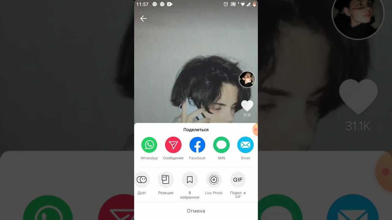 Как сделать живые обои из tiktok видео (на iphone и android)