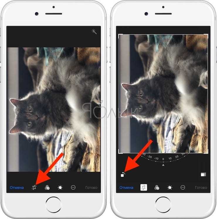 Повернуть фото. Как развернуть фотографию на айфоне. Как перевернуть фото на айфоне. Как развернуть фотографию на телефоне. Как повернуть фото.