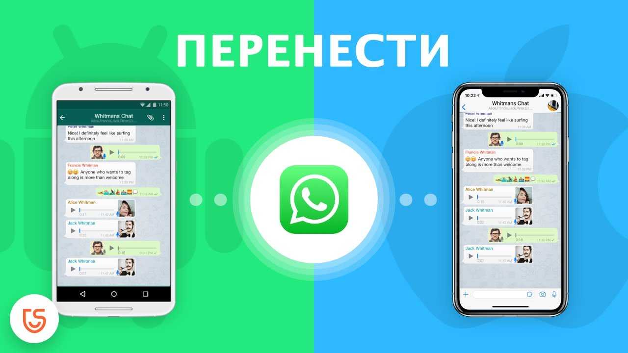 Как скинуть сообщения whatsapp с iphone на android и наоборот