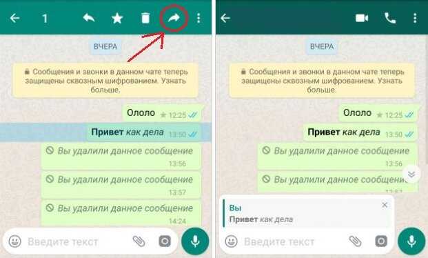 38 функций в whatsapp, о которых вы не знали (часть 1) - androidinsider.ru
