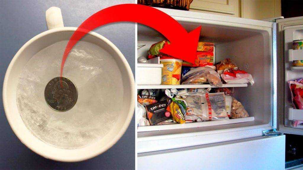 Можно ли хранить дрожжевое тесто в холодильнике и как это делать