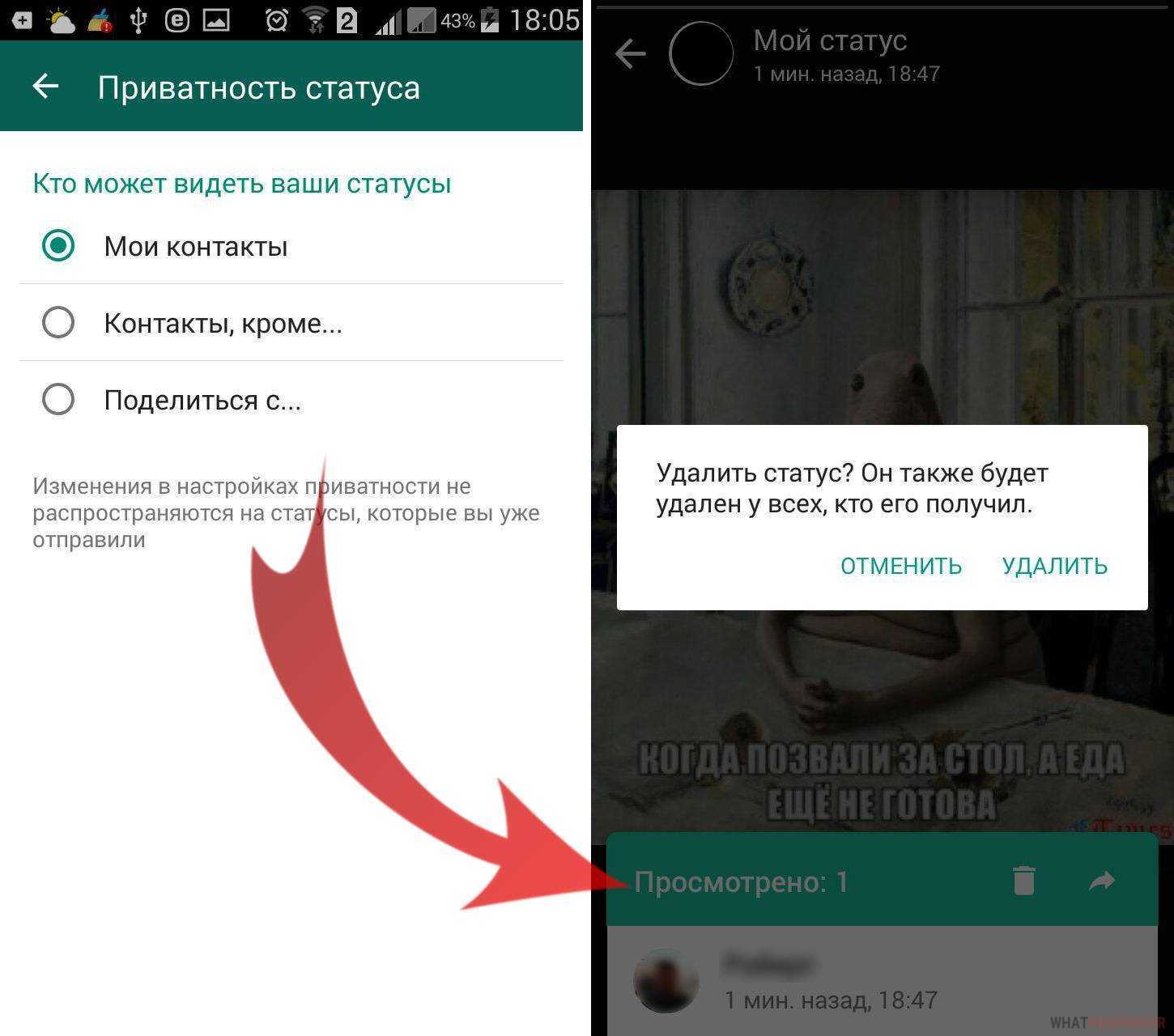 Сохранять статусы вацапа. Статус в ватсапе. Статусы для WHATSAPP. Как сделать статус в ватсапе. Мой статус в ватсапе.